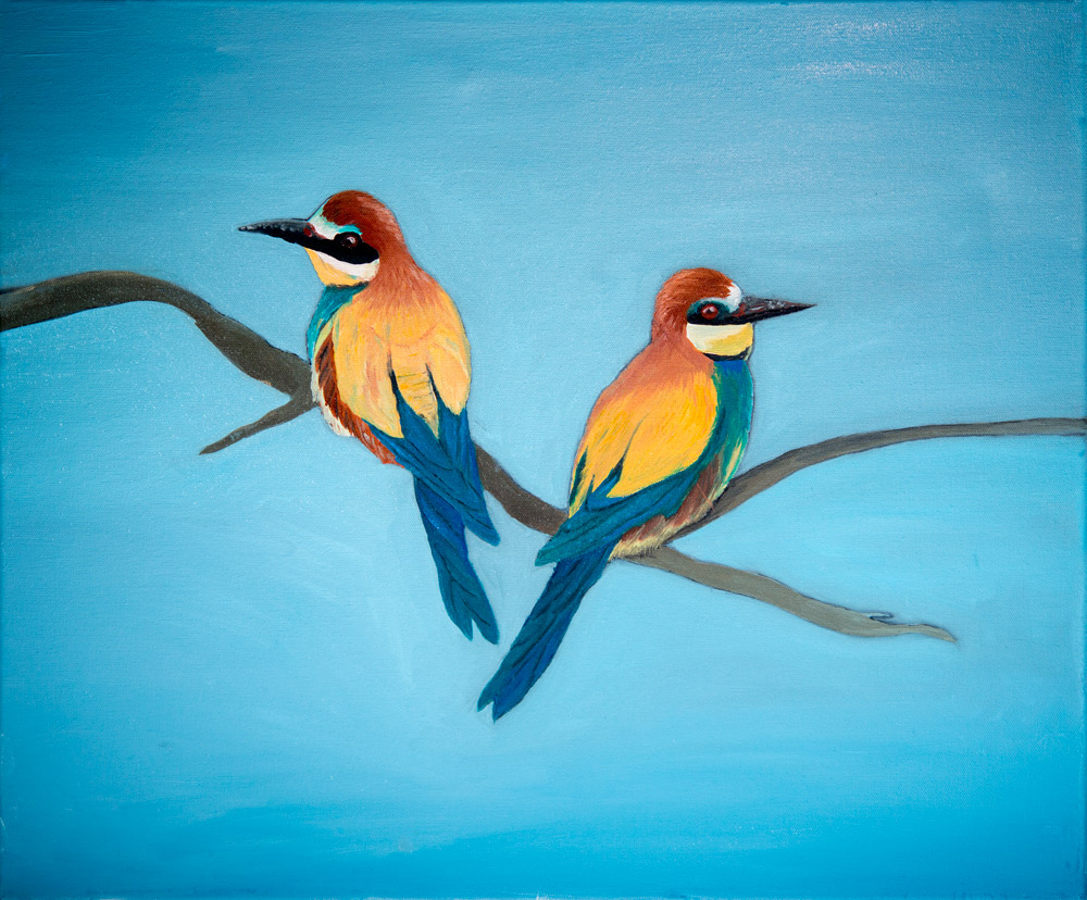 Birds